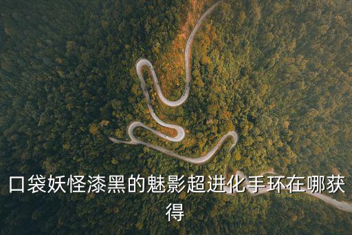 口袋妖怪漆黑的魅影超进化手环在哪获得