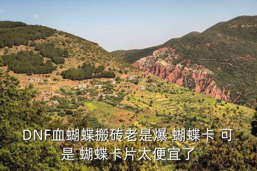 DNF血蝴蝶搬砖老是爆 蝴蝶卡 可是 蝴蝶卡片太便宜了