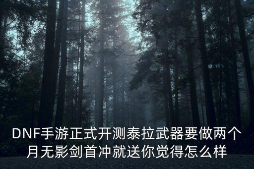 DNF手游正式开测泰拉武器要做两个月无影剑首冲就送你觉得怎么样