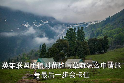 英雄联盟手伟对苗约写草游怎么申请账号最后一步会卡住