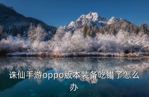 诛仙手游oppo版本装备吃错了怎么办