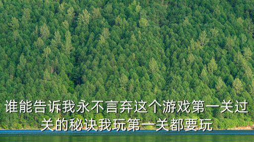 谁能告诉我永不言弃这个游戏第一关过关的秘诀我玩第一关都要玩