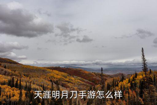 天涯明月刀手游怎么样
