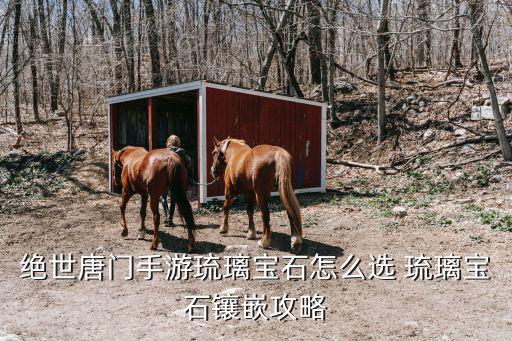 绝世唐门2手游琉璃塔怎么选，霍雨浩在种第二魂核的时候会选择哪一种方向斗罗大陆2绝世唐门