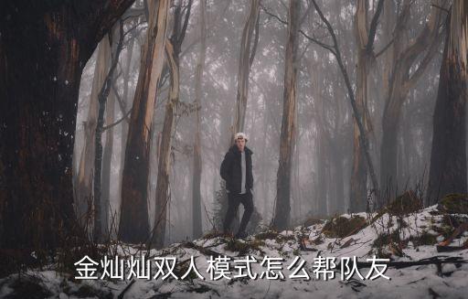 金灿灿双人模式怎么帮队友