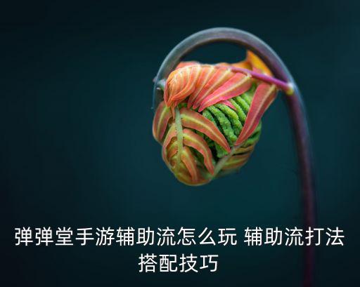 弹弹堂手游平民怎么玩，弹弹堂手游战斗技巧详解 战斗技巧怎么提升