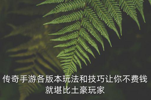 传奇手游月卡版怎么玩，热血传奇手游月卡有什么作用 在那里购买