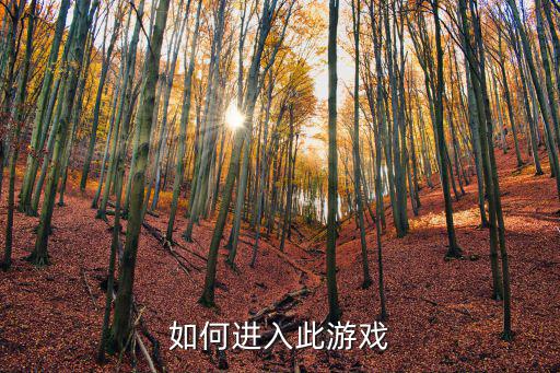 如何进入此游戏