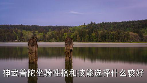 神武普陀坐骑性格和技能选择什么较好