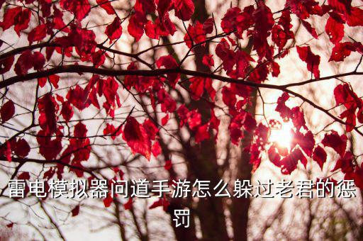 雷电模拟器问道手游怎么躲过老君的惩罚