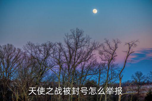 天使之战手游账号被误封怎么办，天使之战被封号怎么举报