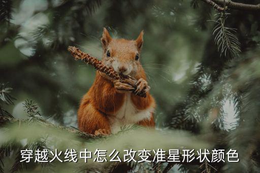 cf手游准星怎么调灰色的圈圈，CF游戏中怎么把准星调成圆圈