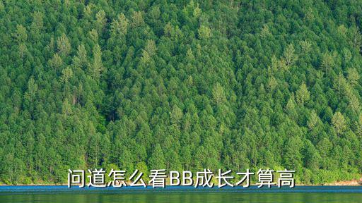 问道怎么看BB成长才算高