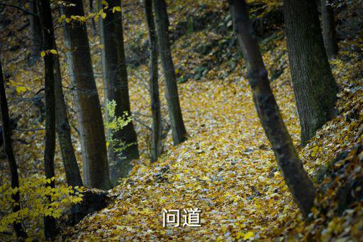 问道