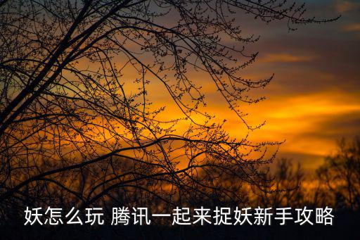 妖怎么玩 腾讯一起来捉妖新手攻略