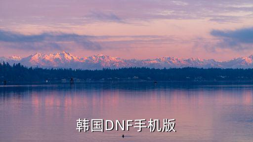 韩国DNF手机版