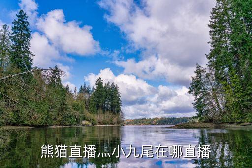 熊猫电竞手游怎么开启直播，熊猫tv怎么在手机上直播王者荣耀