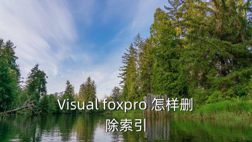Visual foxpro 怎样删除索引