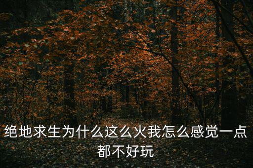 绝地求生为什么这么火我怎么感觉一点都不好玩