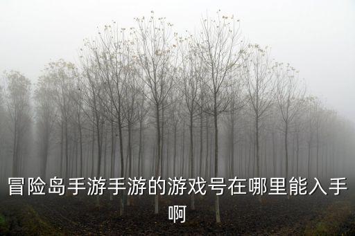 冒险岛手游怎么刷账号，冒险岛手游手游的游戏号在哪里能入手啊