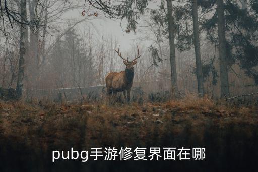 pubg手游队友集结怎么加油，pubg手游修复界面在哪