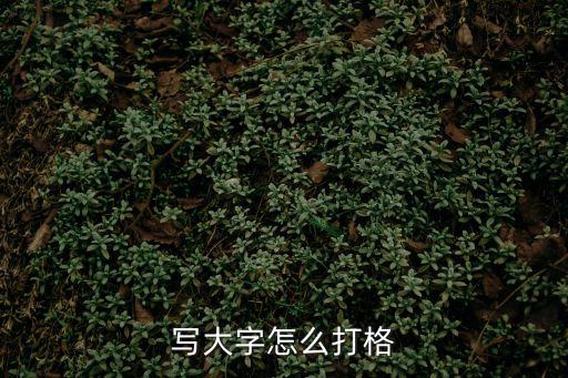 写大字怎么打格