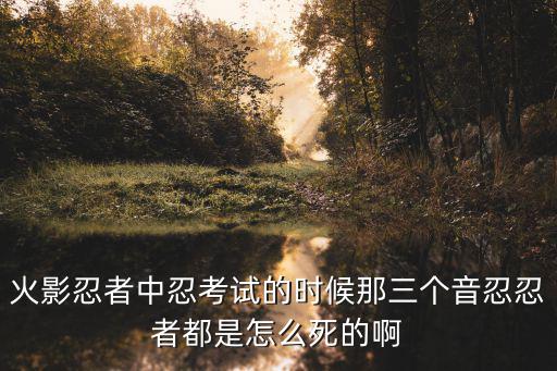 火影忍者中忍考试的时候那三个音忍忍者都是怎么死的啊