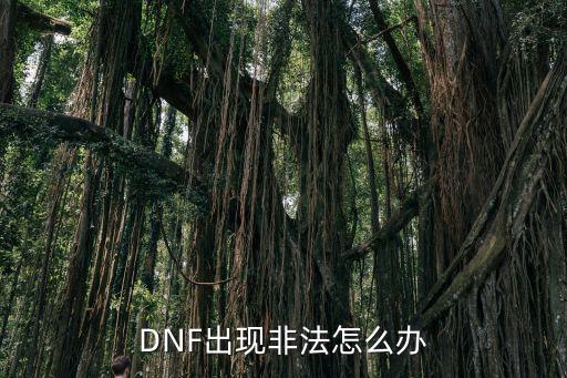 DNF手游显示非法程序怎么办，DNF出现非法怎么办