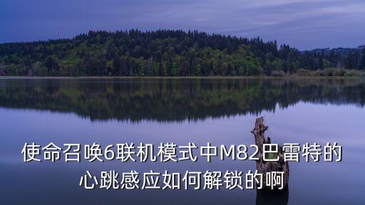使命召唤6联机模式中M82巴雷特的心跳感应如何解锁的啊