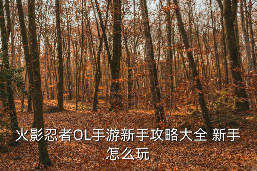 火影忍者OL手游新手攻略大全 新手怎么玩