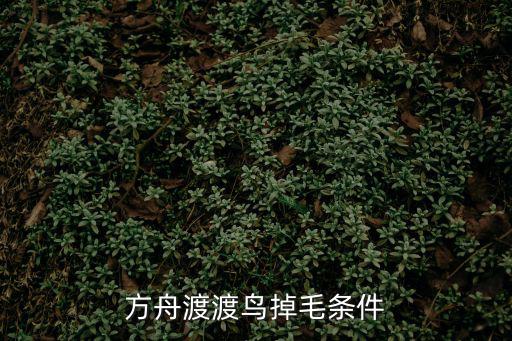 方舟渡渡鸟掉毛条件