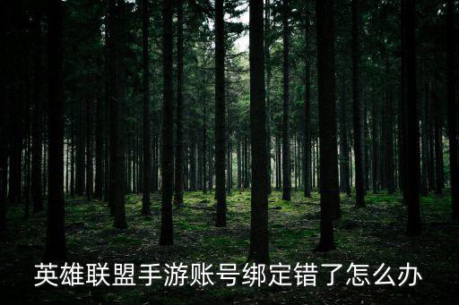 英雄联盟手游账号绑定错了怎么办