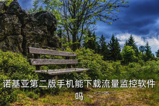诺基亚第二版手机能下载流量监控软件吗