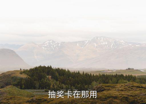 抽奖卡在那用
