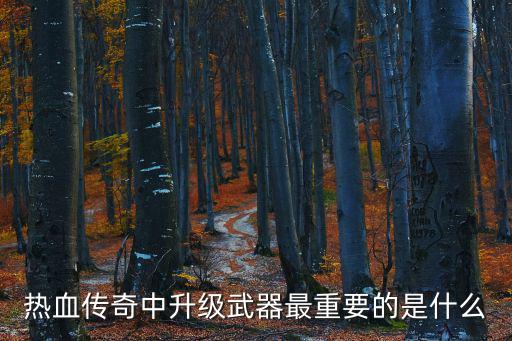 热血传奇中升级武器最重要的是什么