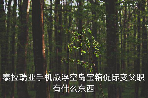 泰拉瑞亚手机版浮空岛宝箱促际变父职有什么东西