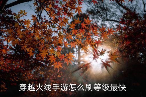 穿越火线手游怎么刷等级最快
