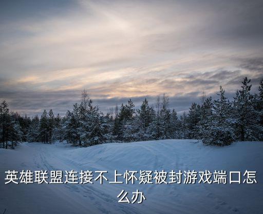 英雄联盟手游链接被封了怎么办，LOL因为无法链接服务器而封号该怎么办