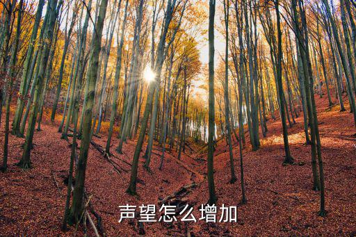 声望怎么增加