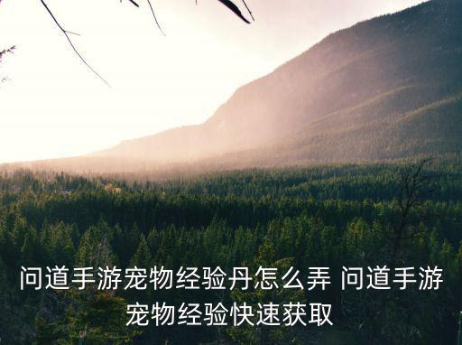 问道手游宠物经验丹怎么弄 问道手游宠物经验快速获取