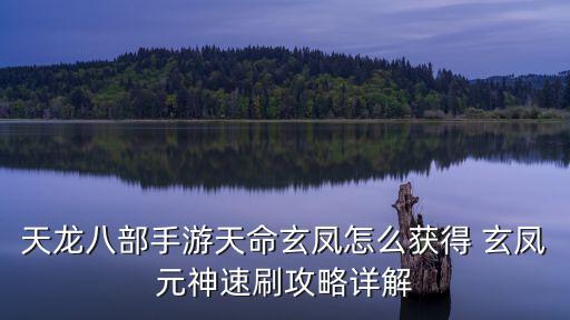 天龙八部手游男人物怎么获得，天龙八部手游天命玄凤怎么获得 玄凤元神速刷攻略详解