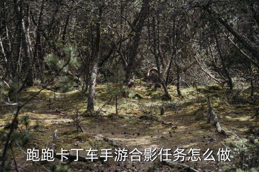 跑跑卡丁车手游合影任务怎么做