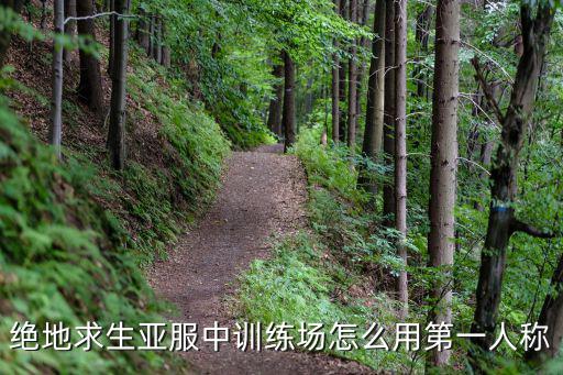 绝地求生亚服中训练场怎么用第一人称