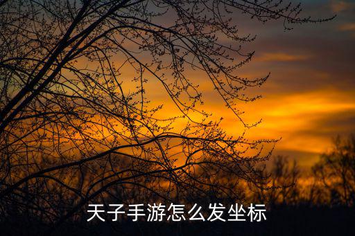 天子手游怎么发坐标