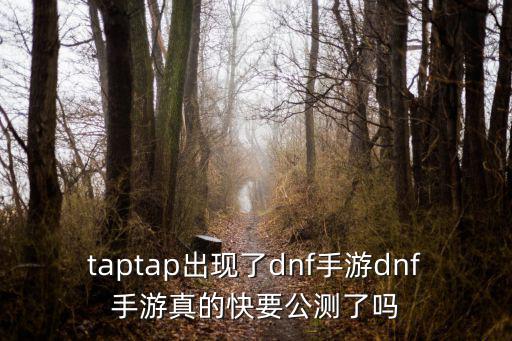 国内怎么玩韩服地下城手游，dnf韩服手游怎么才能玩