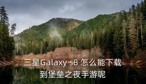 三星Galaxy s8 怎么能下载到堡垒之夜手游呢