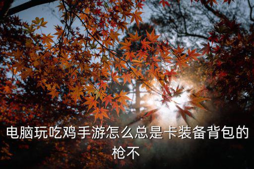 电脑玩吃鸡手游怎么总是卡装备背包的枪不