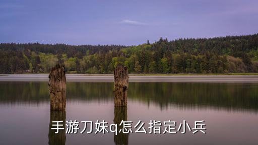 手游刀妹q怎么指定小兵