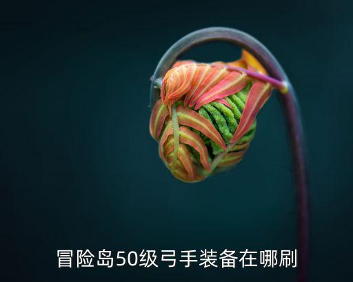 冒险岛50级弓手装备在哪刷