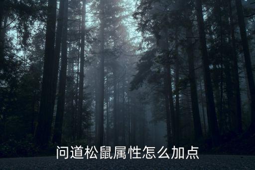 问道松鼠属性怎么加点